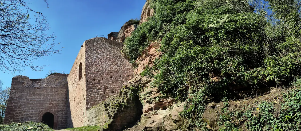 Panorama of the entrance wall with the transition from stone wall to natural rock face. The rock is overgrown with ivy and other shrubs.