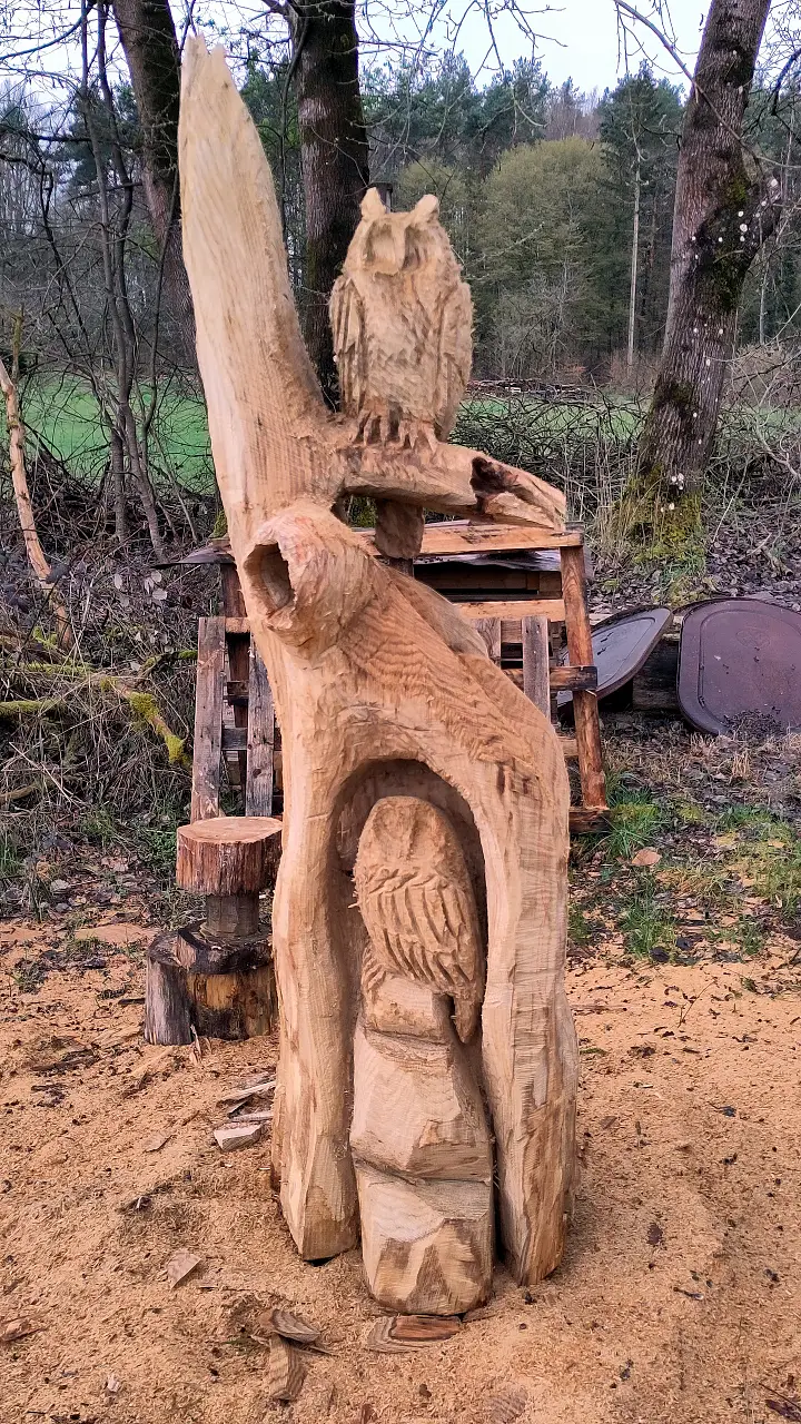 A half-finished owl sculpture on a log somewhere in the woods