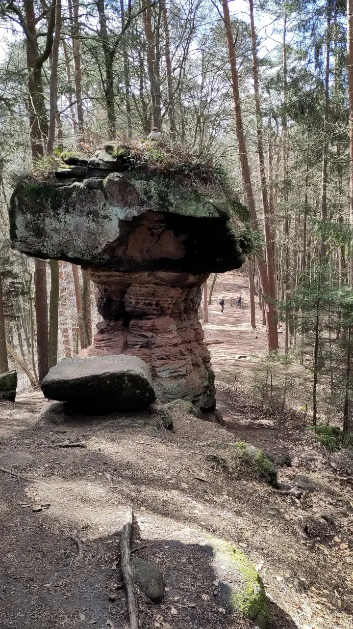 A huge sandstone mushroom: a pillar with a plate on top.