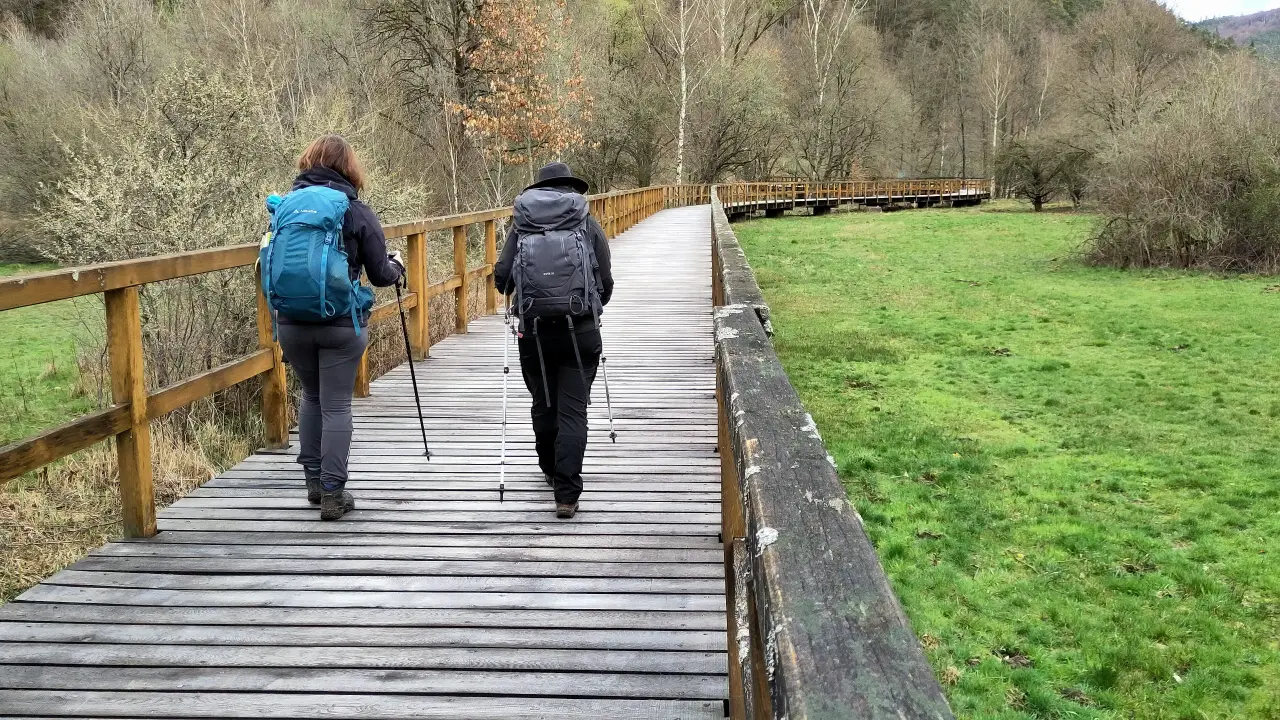 Manu and Lütti from behind on a raised wooden track through a meadow. The track is built on pillars, roughly one meter above ground, presumably to protect agains flooding