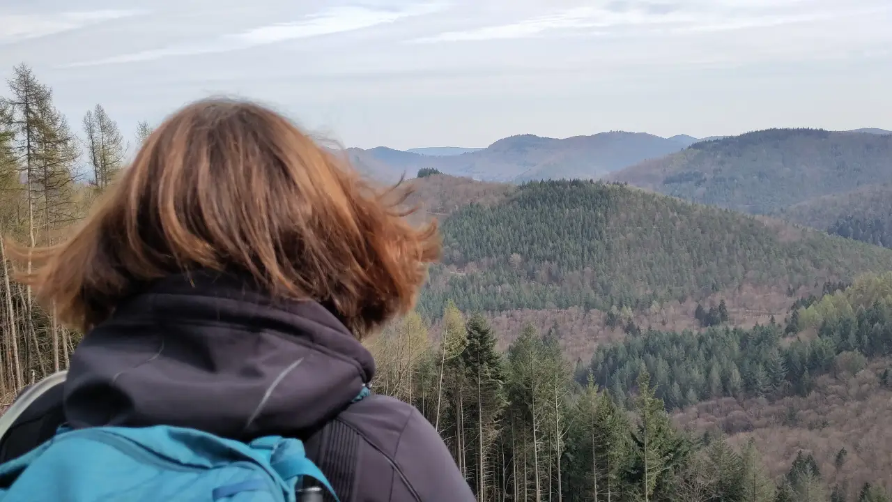 Manu blurred in the foreground overlooking the hills of the Palatinate Forest in the background