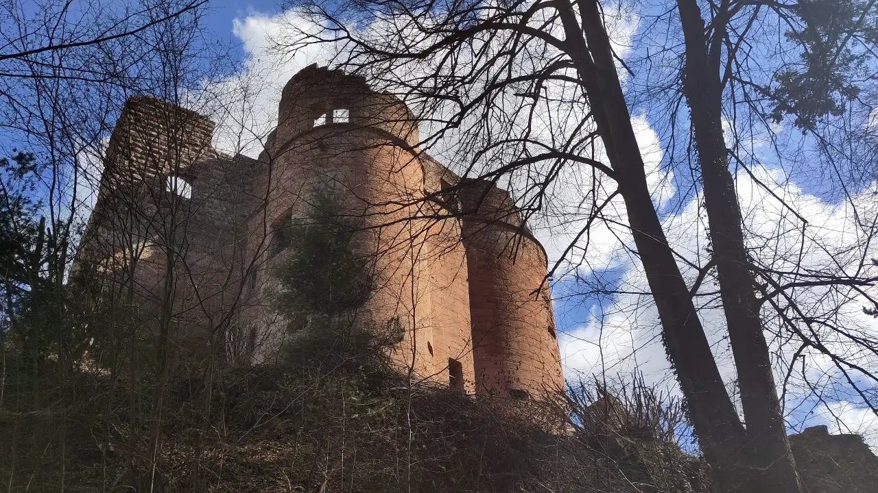 A castle ruin with three closely packed towers behind some bare trees