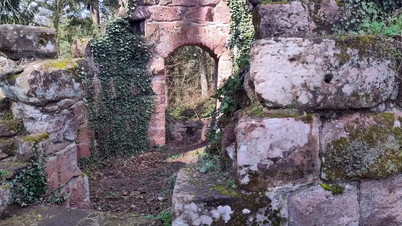 A door frame overgrown with ivy and woods in the background
