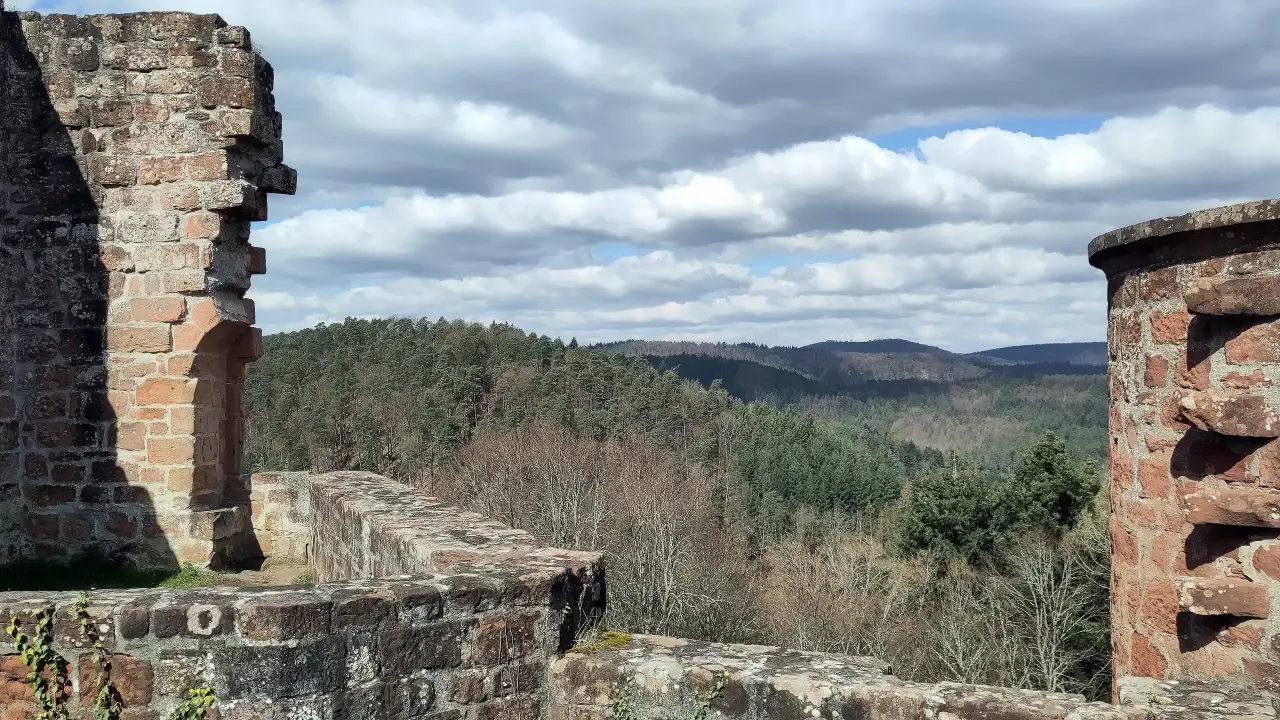 View over the hills of the Palatinate Forest from one of the towers