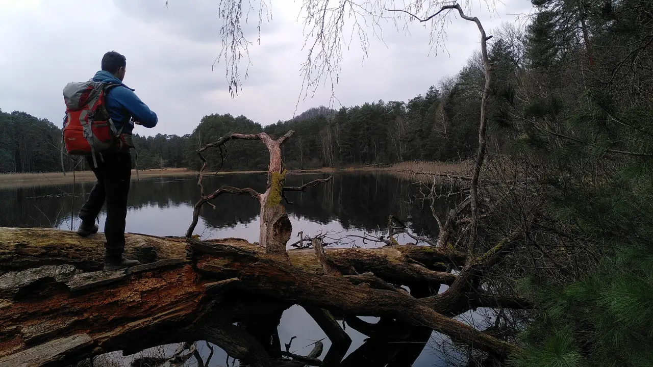 Markus on the dead tree above the water taking pictures