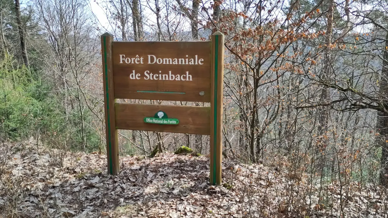 A sign in the woods with the text "Forêt Domaniale de Steinbach"