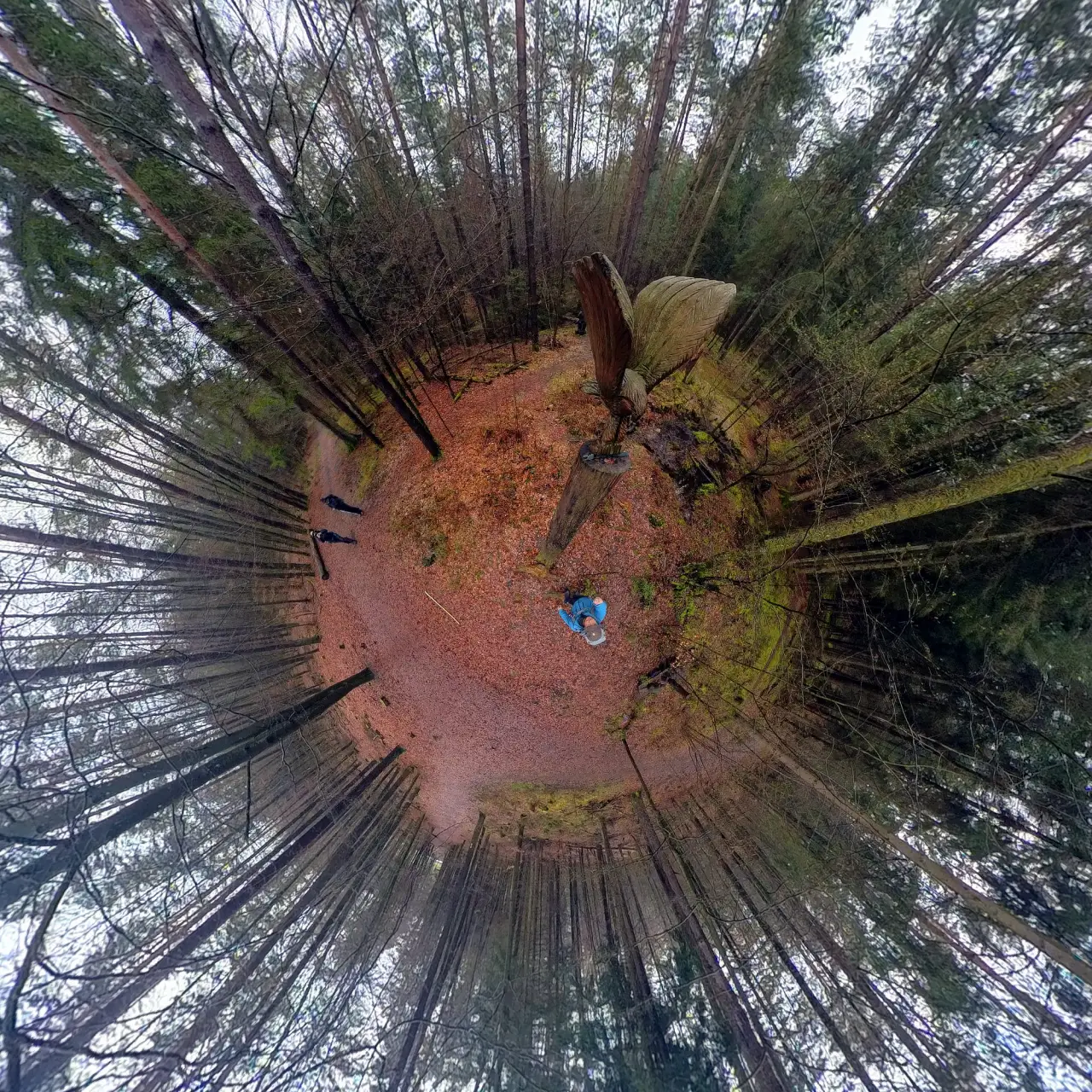 A 360° panorama with a wooden bird of prey in the center. The panorama is morphed to look like a tiny planet with the trees pointing outwards