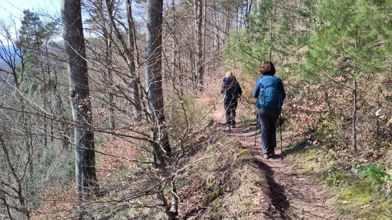 Manu and Lütti on a narrow trail in the woods