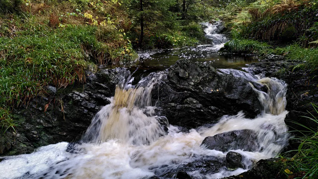 A small "waterfall" in a stream with the typical brownish color of moor water