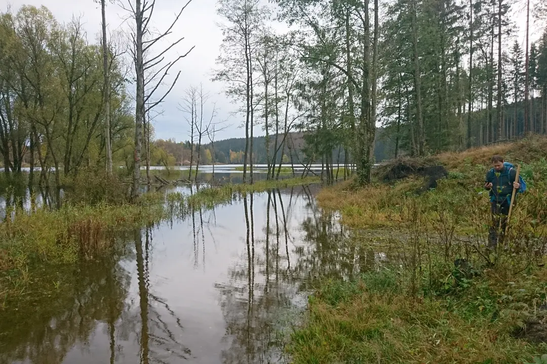 Markus stands at the edge of a flooded hiking trail, looking at his phone to find an alternative route