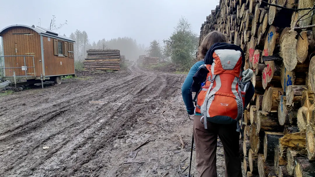 Manu stands in front of a muddy, churned-up forest path with lots of tree trunks