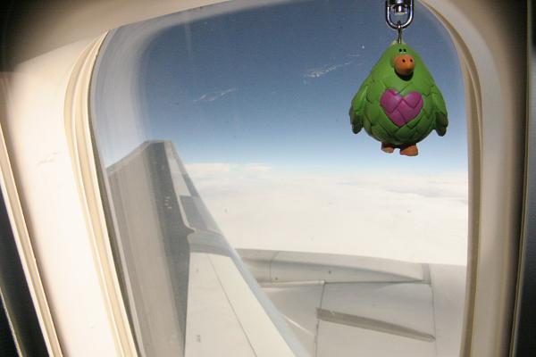 GG vorm Flugzeugfenster mit Wolken im Hintergrund