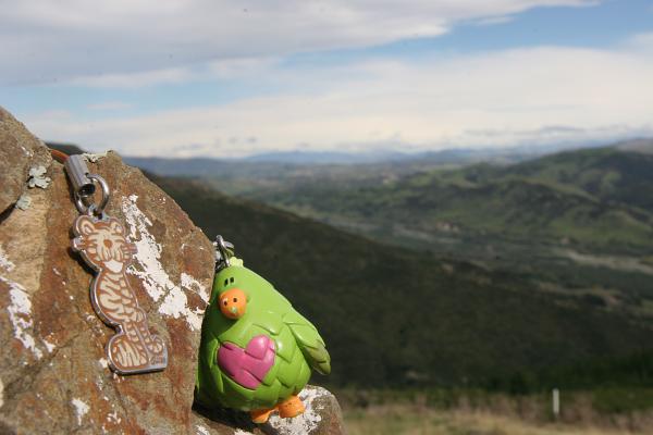 GG und ein Tiger-Schlüsselanhänger auf einem Stein
