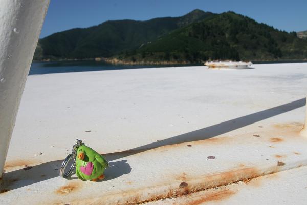 GG auf dem Deck der Autofähre mit Bergen im Hintergrund