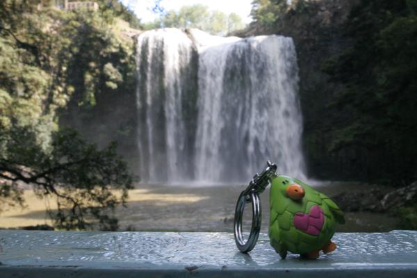GG mit den Whangarei Falls im Hintergrund