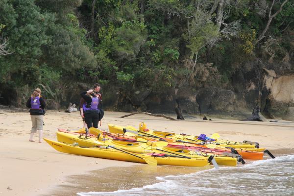 Drei gelbe Doppelkajaks am Strand