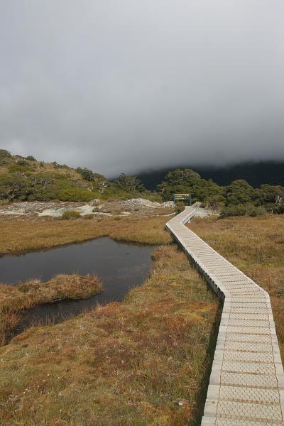 Ein Pfad auf Holzbrettern durch einen Sumpf