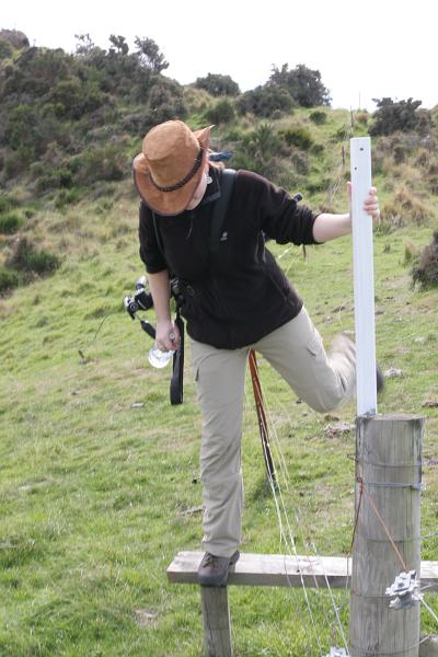 Anja beim Übersteigen eines Kuhzauns