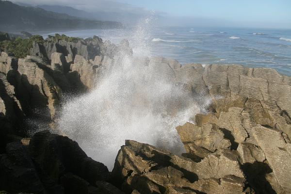 Blick über die zerklüfteten Pancake Rocks. Aus der Mitte schießt eine Wasserfontäne empor