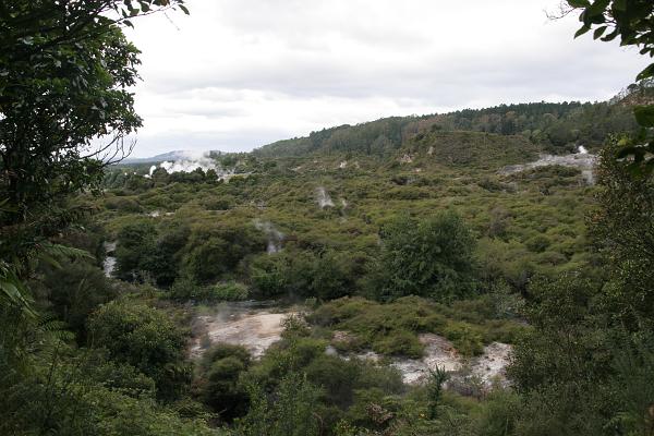 Ein Blick über das Thermalgebiet mit den verschiedenen Dampffontänen