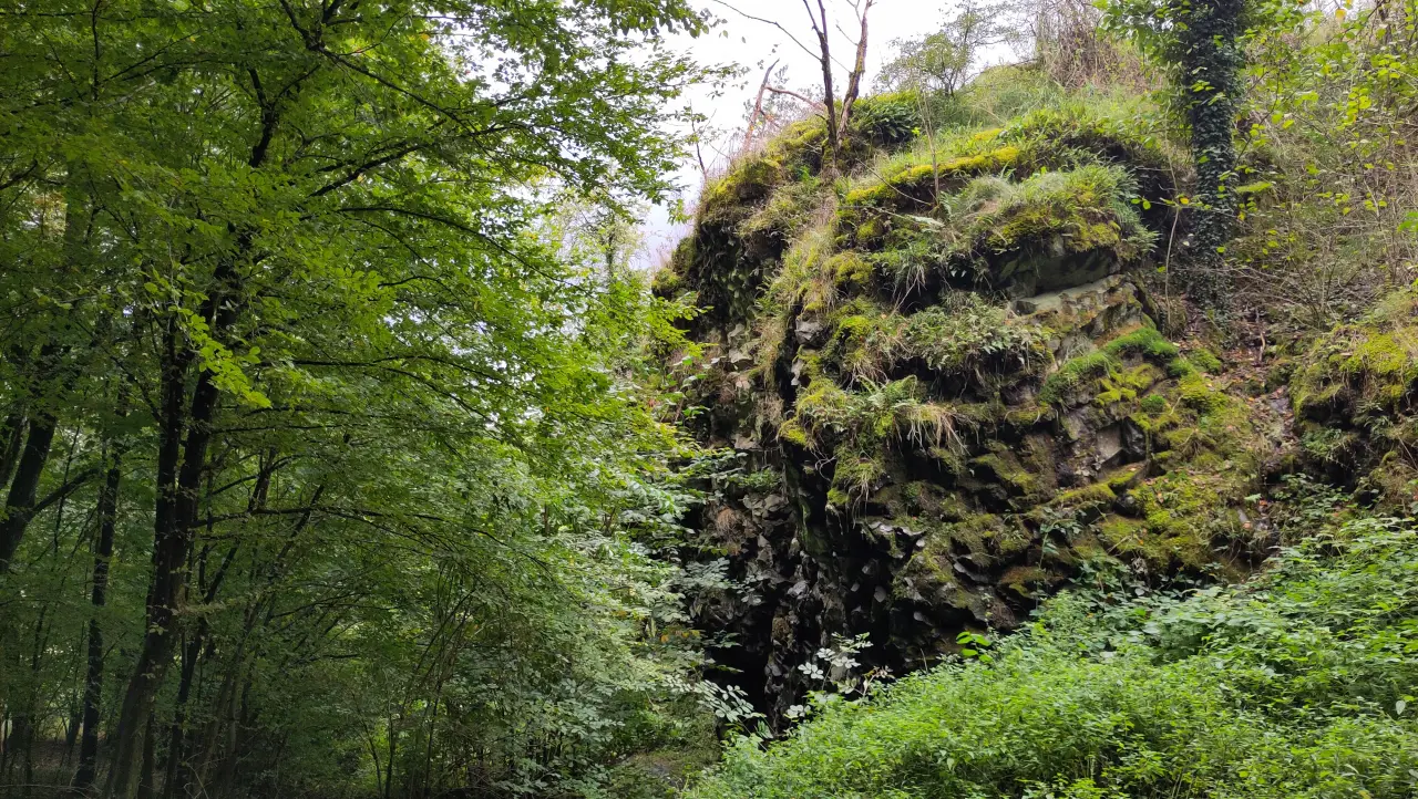 Moosbewachsener Felsen im Wald